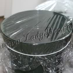 кактусы из семян