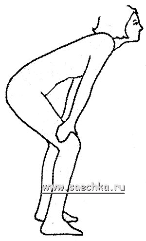 Бодифлекс: Упражнение 1 - Лев