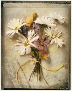 Садовые растения на букву Х