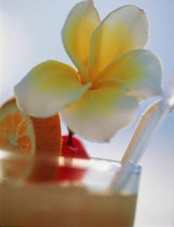 Комнатные растения на букву О