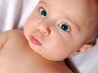 Как воспитать вундеркинда