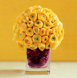 Садовые растения на букву Б