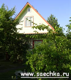 Дача, ландшафтный дизайн