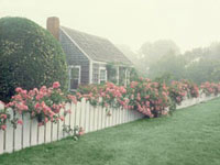 Дачный участок. Обустраиваем недорого, но со вкусом