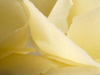 Сыры на букву "А"