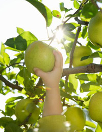 Рецепты красоты